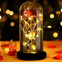 INAROCK La Bella y la Bestia Rose- Valentine Red Silk Rose en Dome Glass con 20 LED Fairy Lights String- Romántica…